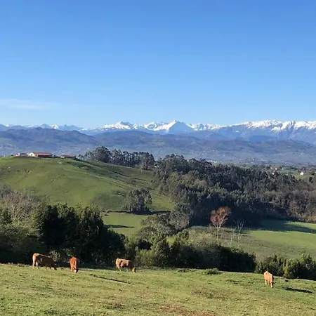 Trebol4hojas Landsted