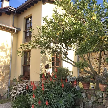 Trebol4hojas San Pedro (Asturias)