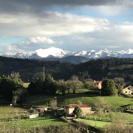 Trebol4hojas San Pedro (Asturias)