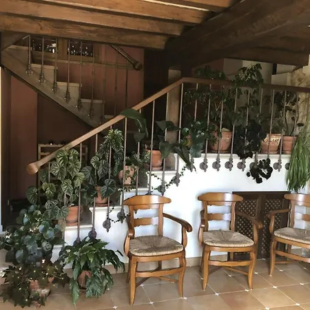 Trebol4hojas San Pedro (Asturias)