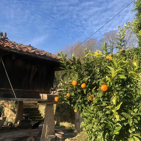 Trebol4hojas * San Pedro (Asturias)