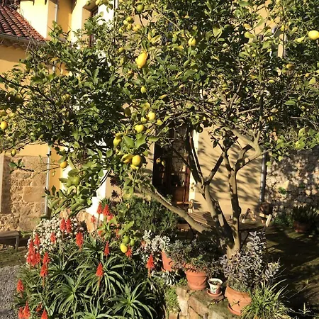 Landhuis Trebol4hojas