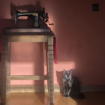 Trebol4hojas San Pedro (Asturias)