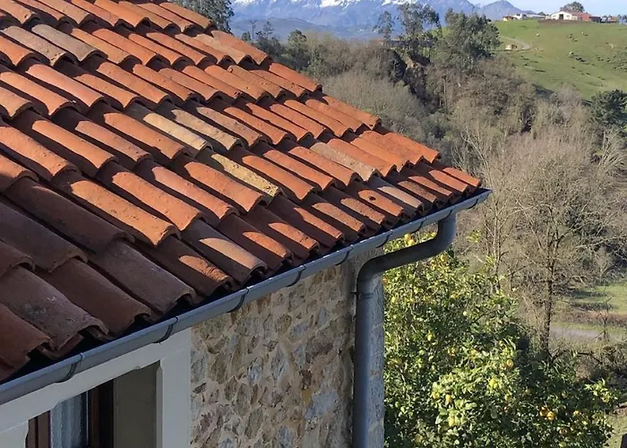 Trebol4hojas * San Pedro (Asturias)