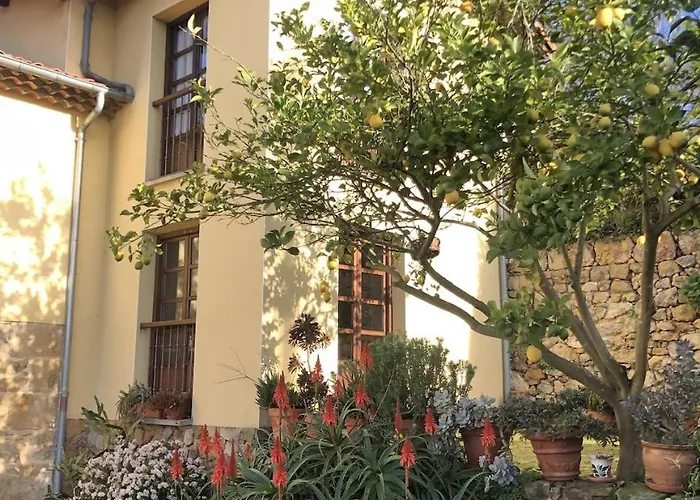 Trebol4hojas San Pedro (Asturias)