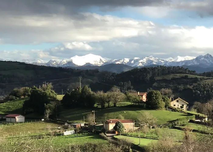 Trebol4hojas San Pedro (Asturias)