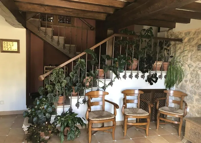 Trebol4hojas San Pedro (Asturias)