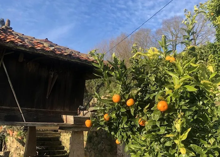 Trebol4hojas * San Pedro (Asturias)