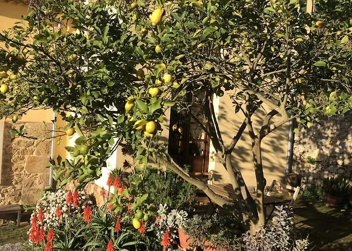 Country house Trebol4hojas