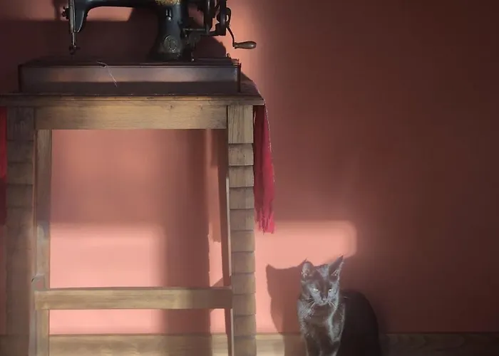 Trebol4hojas San Pedro (Asturias)